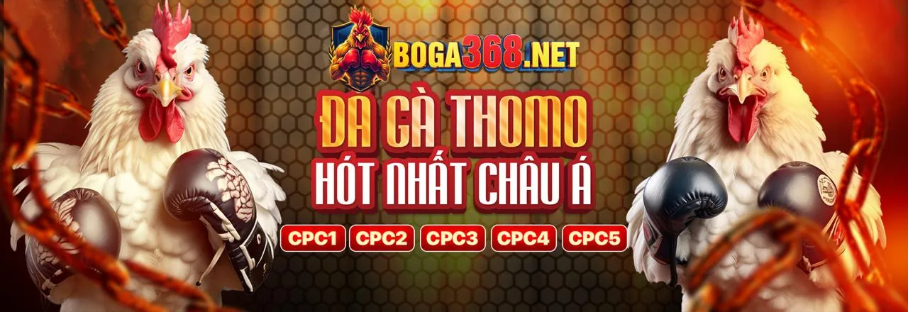 Hình ảnh chính vui123 casino