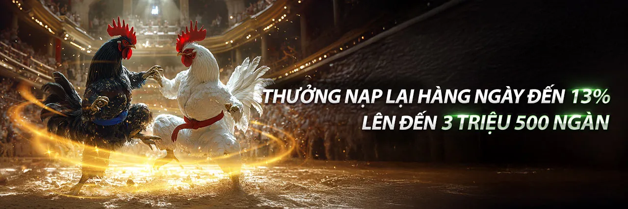 Đá gà trực tuyến kịch tính tại vui123 casino
