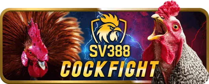 Giao diện cá cược thể thao tại vui123 casino với các môn bóng đá, bóng rổ